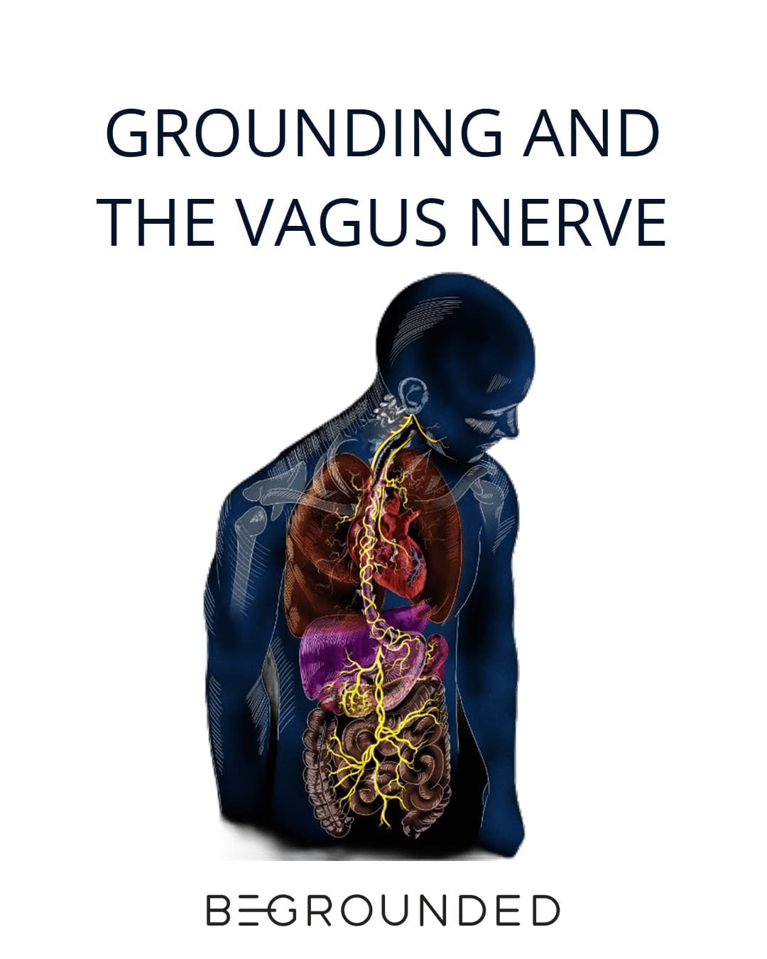 Vagus Nerve poster