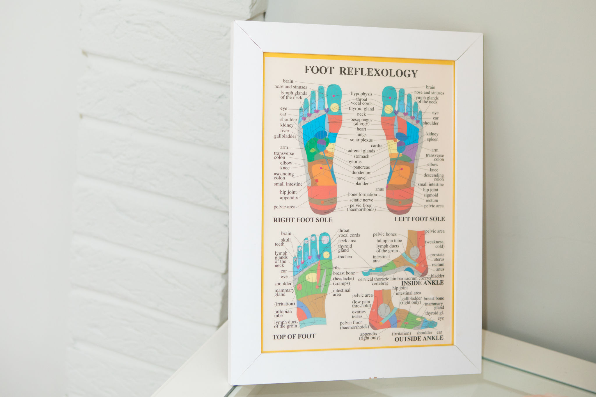 reflexology foot map